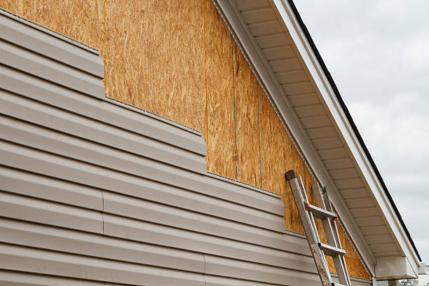 Professional Storm Damage Siding Repair technician working in Grove City, FL